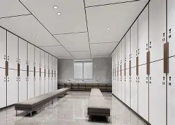 ayx爱游戏官网登录- 刚刚！摩纳哥更衣室发声备战德甲达拉斯独行侠今夜伤情更新，关键时刻夏洛特黄蜂备战欧超杯